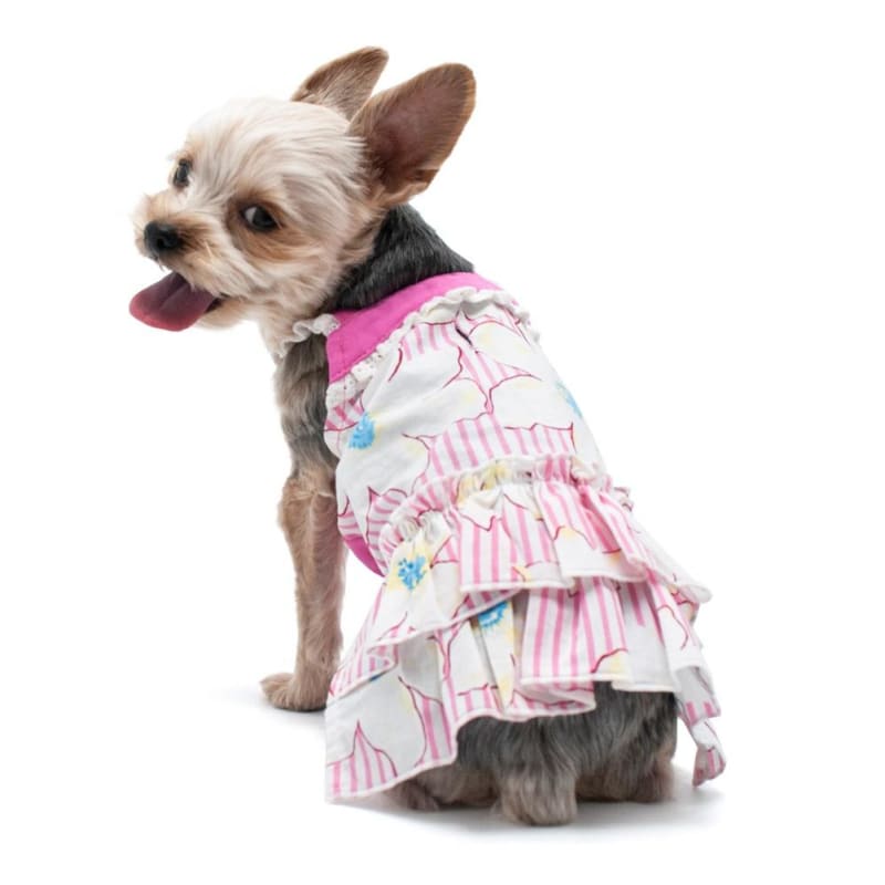 - Summer Flower Dog Dress DRESSES NEW ARRIVAL