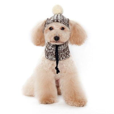 - Sweater Pom Pom Dog Hat