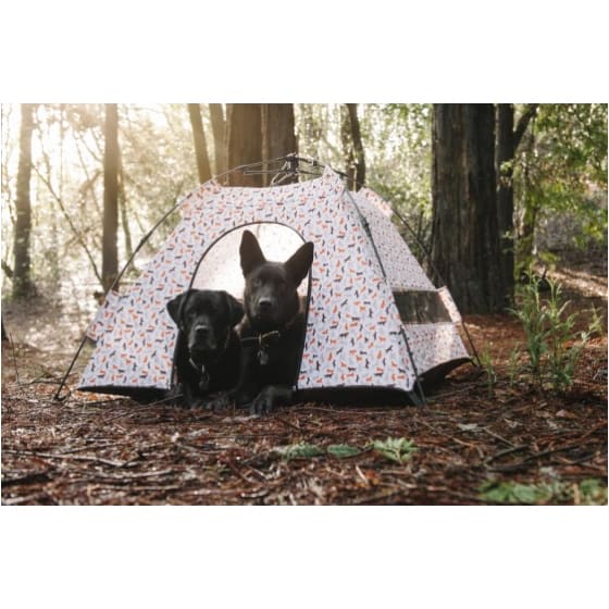 - Scout & About Outdoor Dog Tent in Vanilla