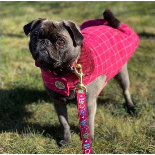 - Pink Tweed Dog Coat NEW ARRIVAL