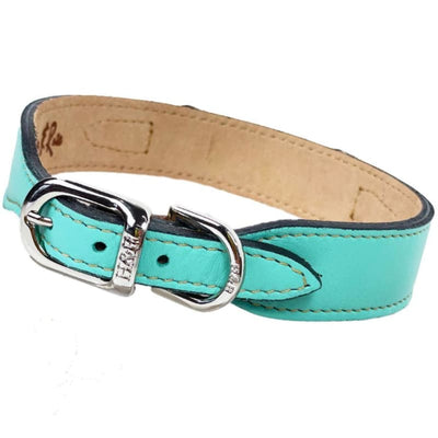 Belmont Italian Leather Dog Collar In Turquoise & Nickel genuine leather dog collars, luxury dog collars, NEW ARRIVAL