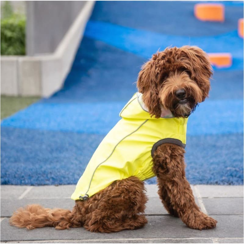 Neon Yellow & Tie Dye Reversible Raincoat Dog Apparel NEW ARRIVAL