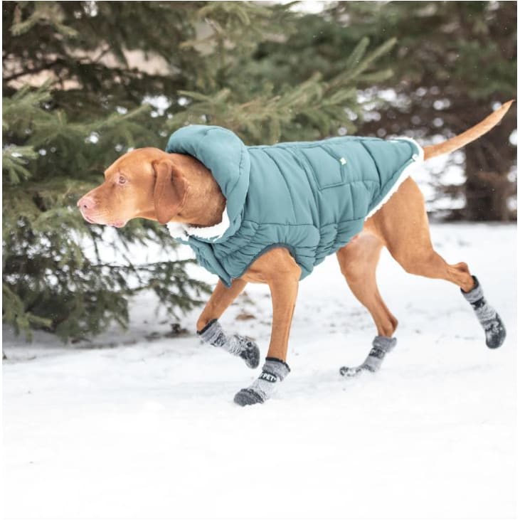 Teal Elasto-Fit Super Puff Dog Parka Dog Apparel NEW ARRIVAL