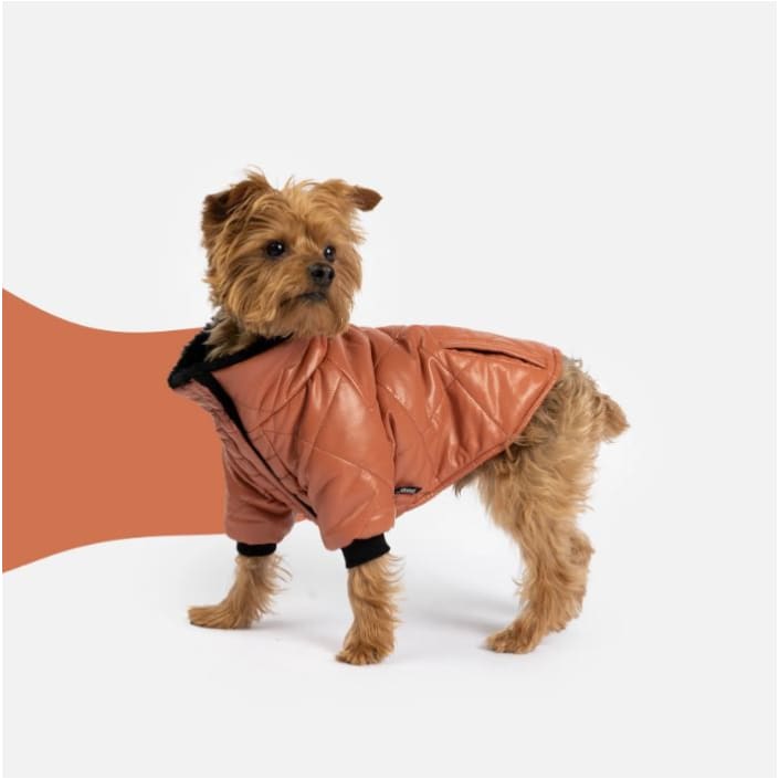 Terracotta Pheonix Vegan Leather Dog Jacket Dog Apparel NEW ARRIVAL
