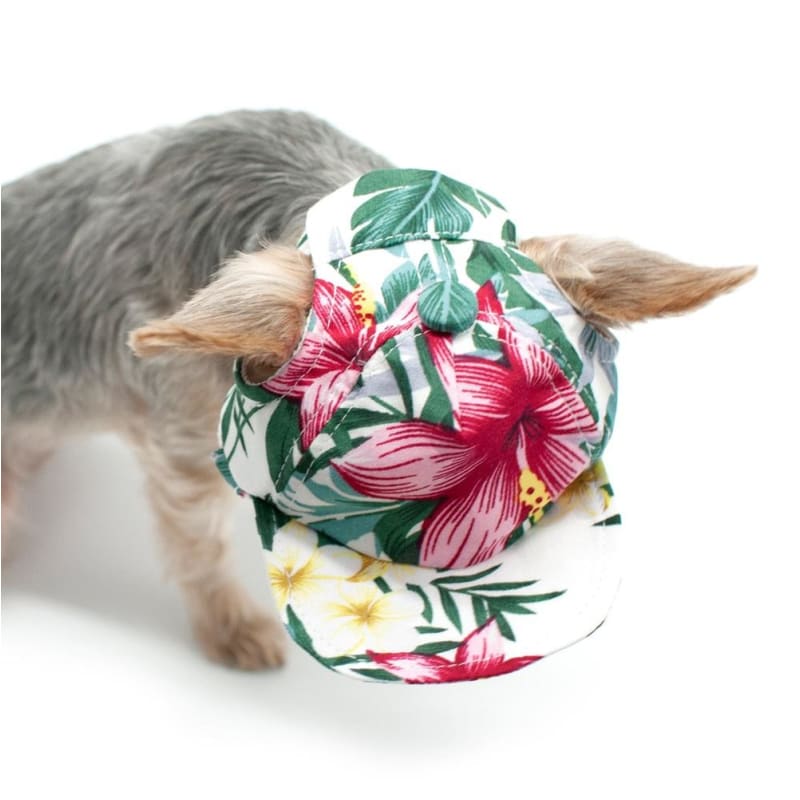 - Tropical Island Dog Hat APPAREL HATS NEW ARRIVAL