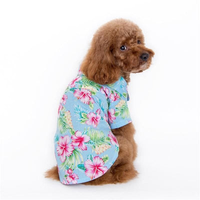 - Tropical Island Dog Shirt in Blue DOGO NEW ARRIVAL