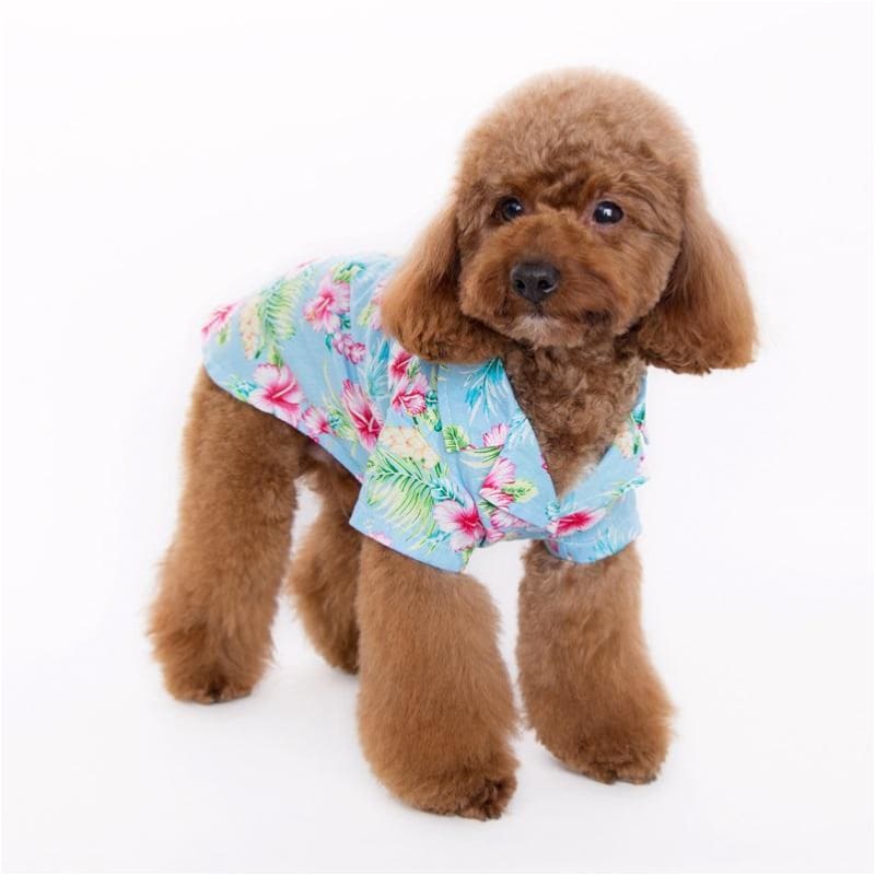 - Tropical Island Dog Shirt in Blue DOGO NEW ARRIVAL