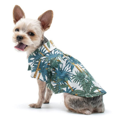 - Tropical Palm Dog Shirt NEW ARRIVAL