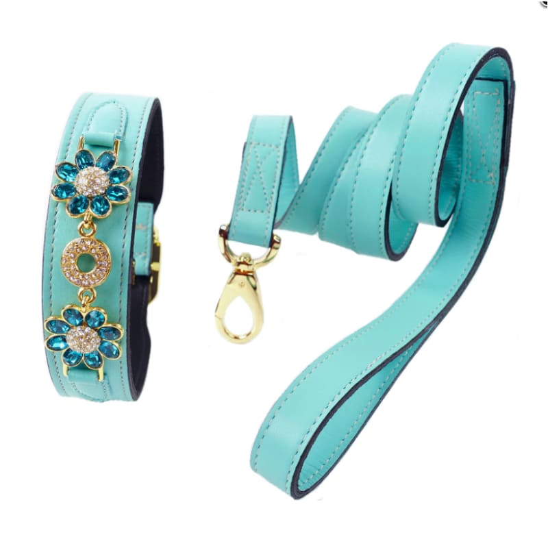 - Daisy Italian Leather Dog Collar In Turquoise
