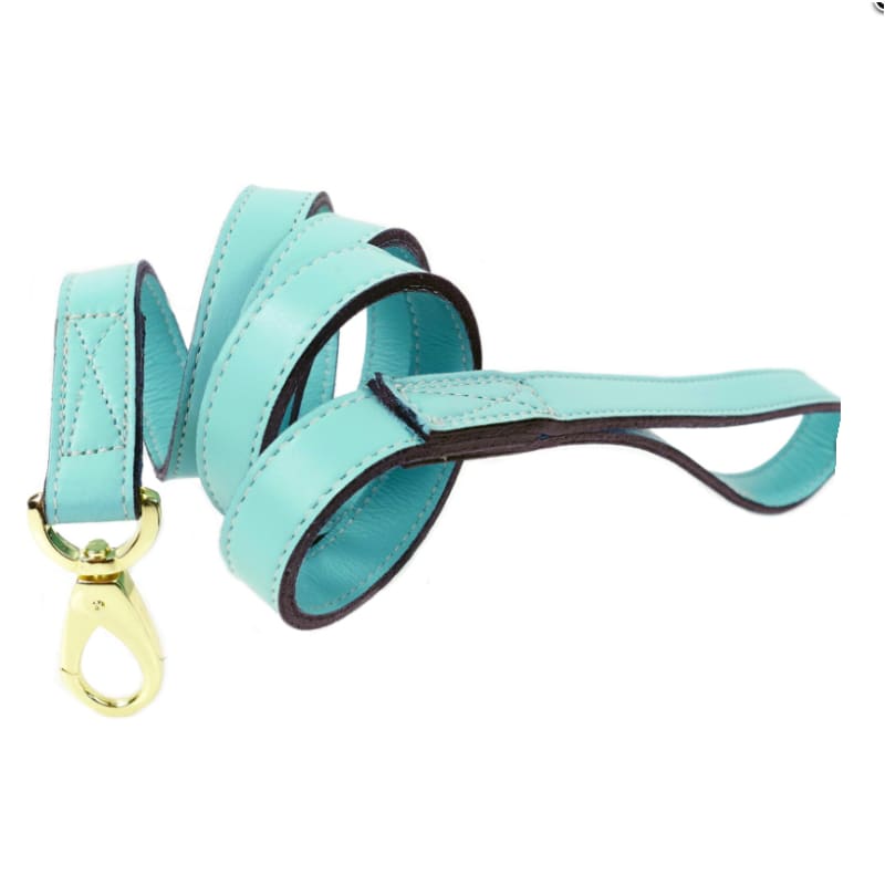 - Daisy Italian Leather Dog Collar In Turquoise