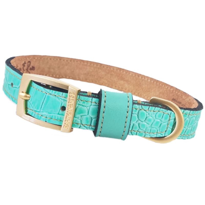 Cayman Italian Leather Dog Collar in Turquoise Pet Collars & Harnesses genuine leather dog collars, luxury dog collars, MADE TO ORDER, NEW 