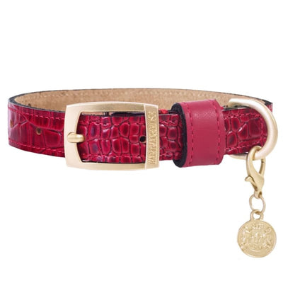 Cayman Italian Leather Dog Collar in Ferrari Red Pet Collars & Harnesses genuine leather dog collars, luxury dog collars, MADE TO ORDER, NEW