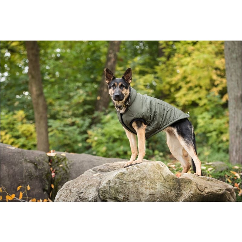 US ARMY Dog Parka NEW ARRIVAL