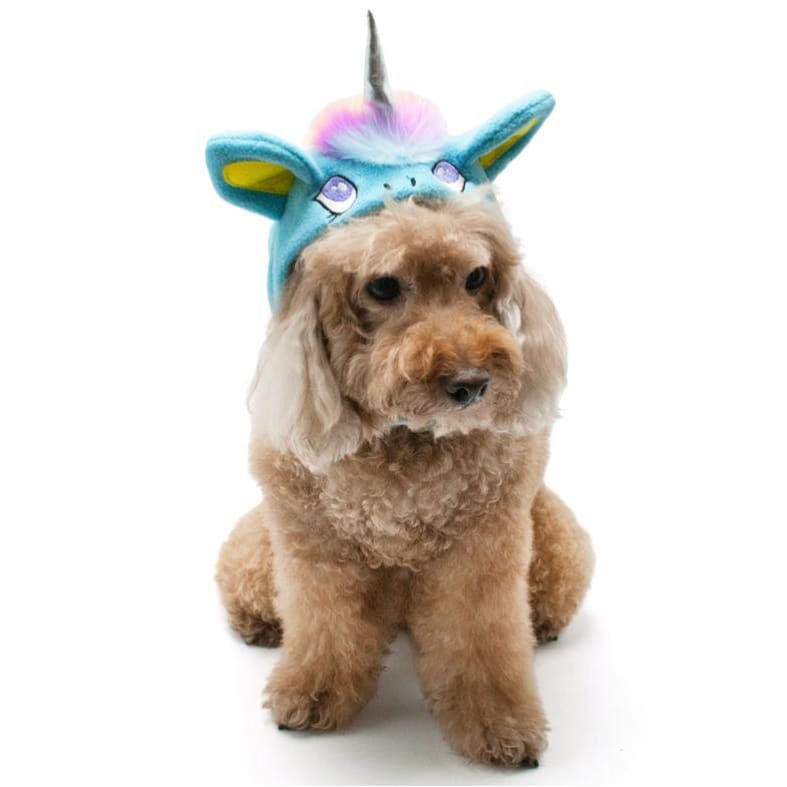 Plush Unicorn Hat for Dogs clothes for small dogs, cute dog apparel, cute dog clothes, dog apparel, dog sweaters