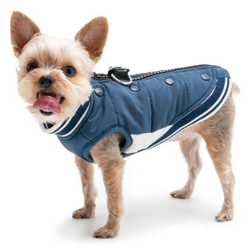 - Varsity Runner Coat clothes for small dogs COATS cute dog apparel cute dog clothes dog apparel