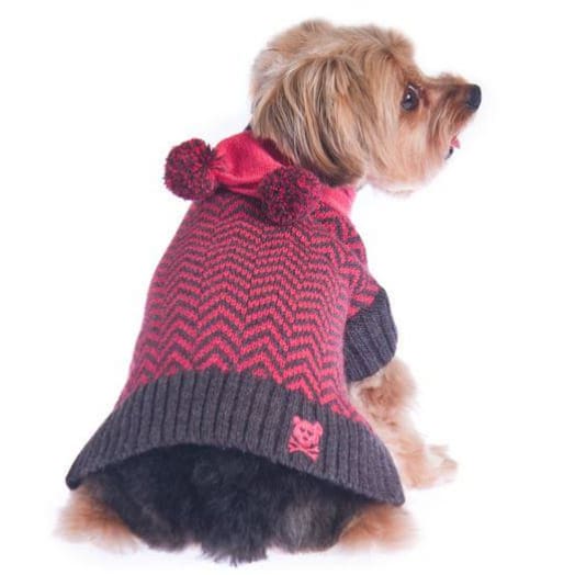 Varsity Girl Sweater with Scarf clothes for small dogs, cute dog apparel, cute dog clothes, dog apparel, dog sweaters
