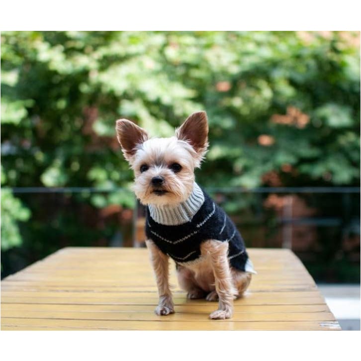 - The Victor Dog Sweater clothes for small dogs cute dog apparel cute dog clothes dog apparel dog hoodies