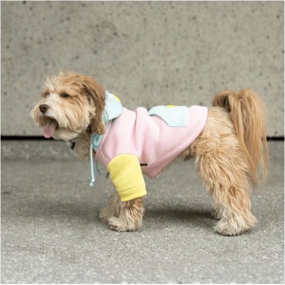 Venice Dog Hoodie Pink Dog Apparel NEW ARRIVAL