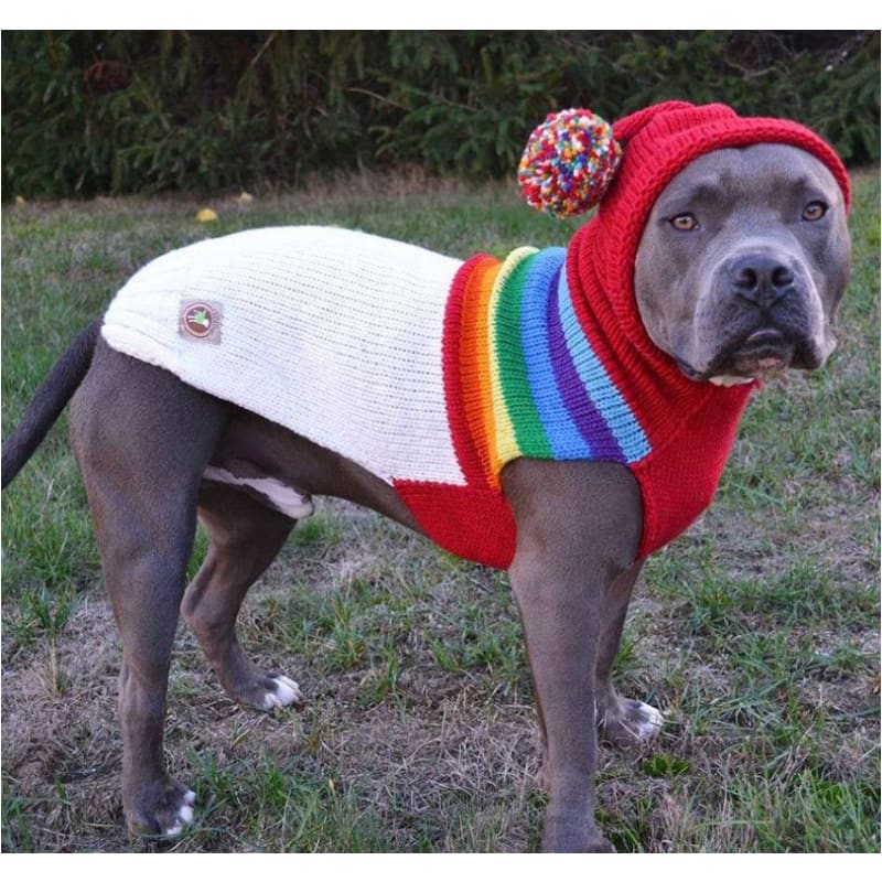 Vintage Ski Hooded Dog Sweater clothes for small dogs, cute dog apparel, cute dog clothes, dog apparel, dog hoodies