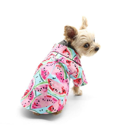 Watermelon Dog Shirt Dog Apparel clothes for small dogs, cute dog apparel, cute dog clothes, dog apparel, dog sweaters