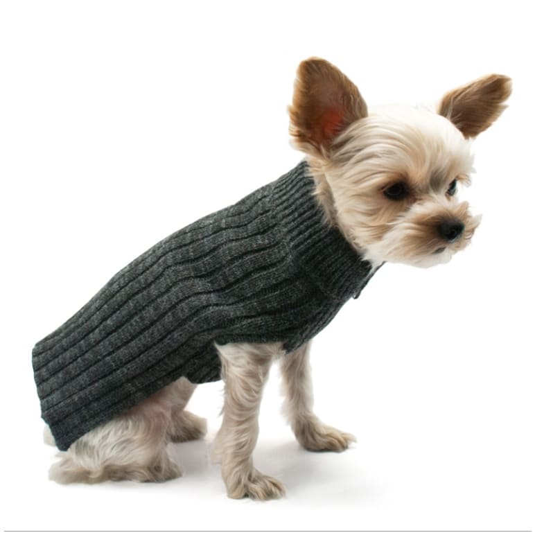 - Puppypawer Basic Black Dog Turtleneck Sweater