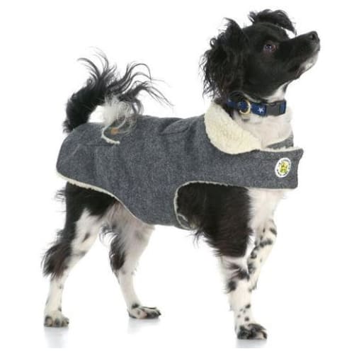 - Gray Wool Dog Coat NEW ARRIVAL