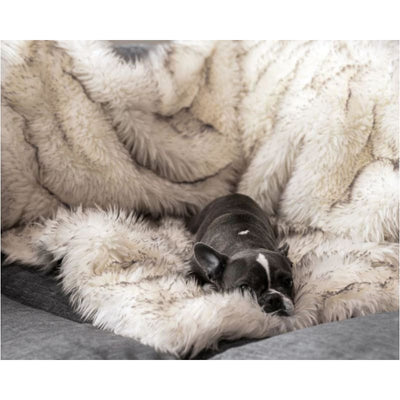 PupProtector™ Waterproof White Throw Blanket NEW ARRIVAL