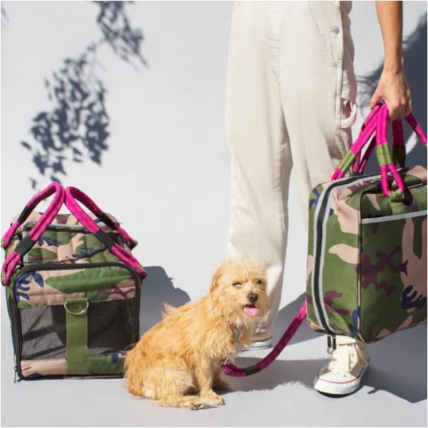 Out-of-Office Pet Carrier Camo/Magenta Pet Carriers & Crates