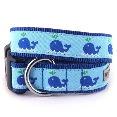- Squirt Collar & Leash Collection NEW ARRIVAL WORTHY DOG