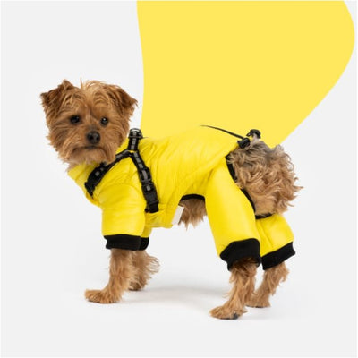 Luxury Canine Outerwear Jumpsuit – Doggie Luxurious