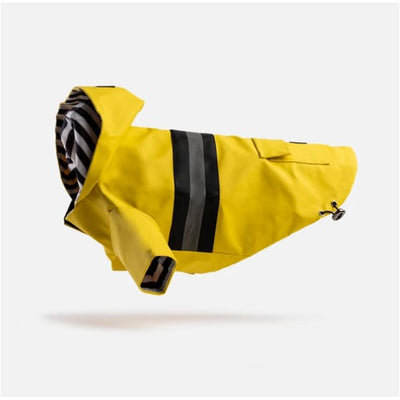 Yellow Aiden Dog Raincoat NEW ARRIVAL