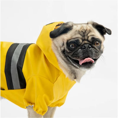 Yellow Aiden Dog Raincoat NEW ARRIVAL