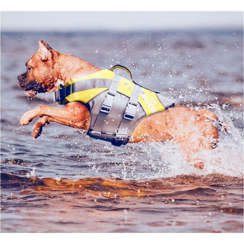 - Yellow Splash-Explore Dog Life Jacket PET LIFE