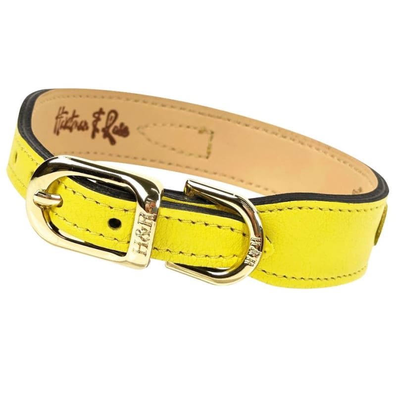 Holiday Crystal Bit Italian Leather Dog Collar in Canary Yellow & Gold Pet Collars & Harnesses genuine leather dog collars, HARTMAN & ROSE, 