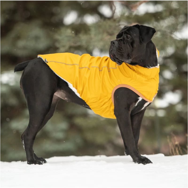 Yellow Elasto-Fit Insulated Raincoat Dog Apparel NEW ARRIVAL