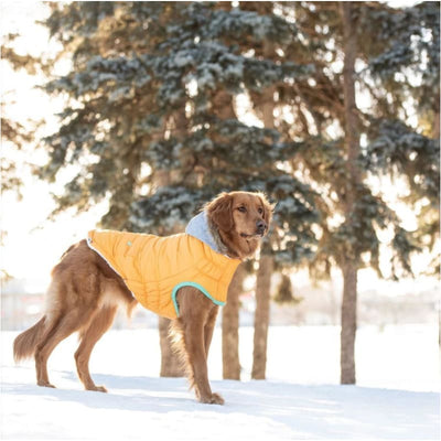 Yellow Winter Sailor Parka Dog Apparel NEW ARRIVAL
