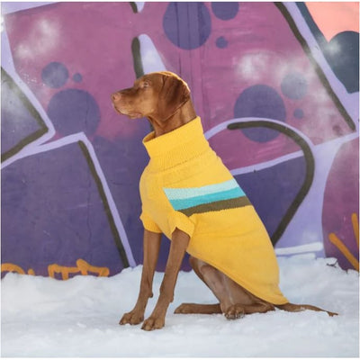 Yellow Alpine Dog Sweater Dog Apparel NEW ARRIVAL